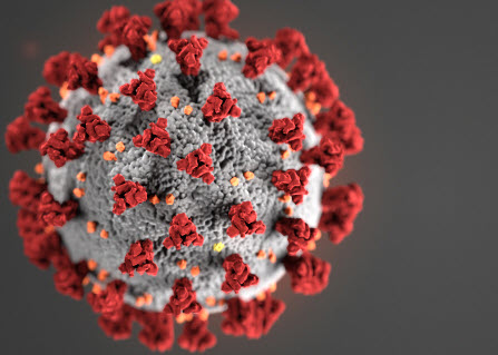 미국 질병 통제 및 예방 센터에서 만든 코로나 바이러스의 그림. 미국립암연구소 홈페이지 캡쳐