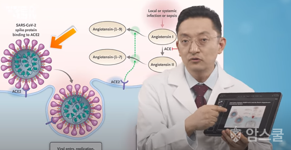 분홍색 돌기가 있는 것이 신종 코로나바이러스. 바이러스가 인체에 유익한 보라색 ACE2 효소를 끌고 세포안으로 들어가고 있다. 장항준TV 유튜브 채널 캡쳐