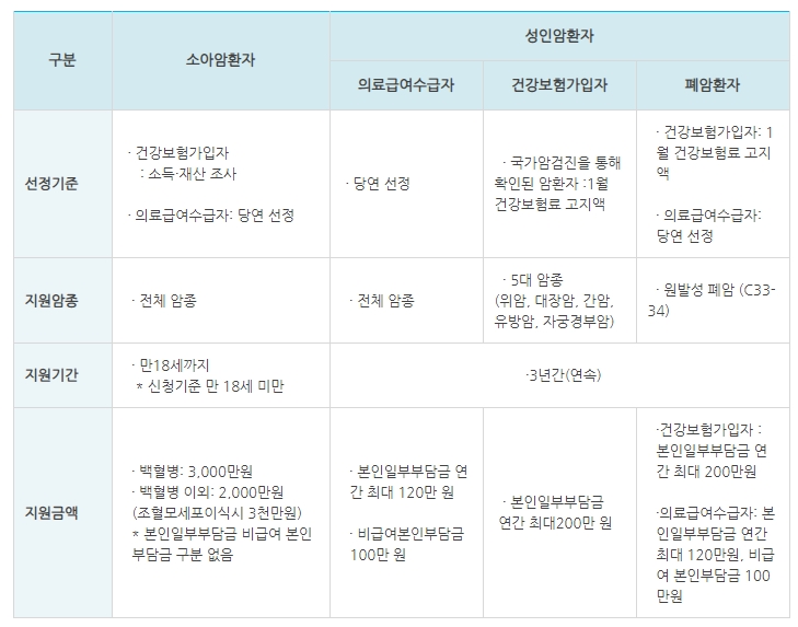 의료비지원 사업 지원 내역. 온라인 민원 서비스 캡쳐