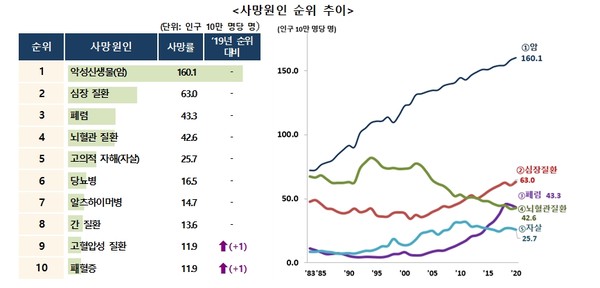 2020년 사망원인통계 결과, 통계청 