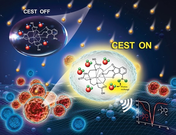 의약화학분야 국제학술지 Journal of Medicinal Chemistry 논문 표지