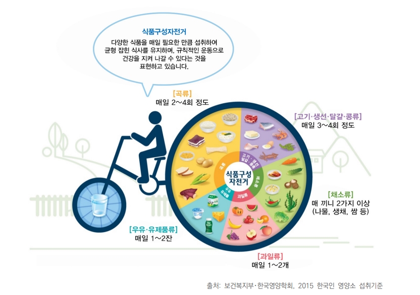 식품구성자전거 ⓒ 보건복지부, 한국영양학회 