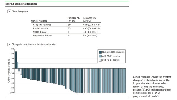임상반응 결과 그래프. 출처 JAMA Oncology