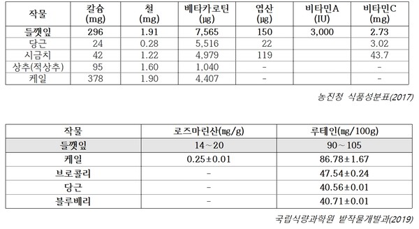 들깻잎과 다른 채소류들의 무기질 및 비타민 함량(100g당 함량) 비교. 출처 농촌진흥청
