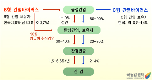 바이러스성 간염에서 간암으로의 진행. 출처 국가암정보센터