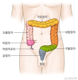 대장의 구조. 출처 서울대학교병원