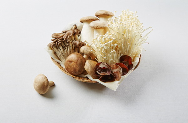 버섯은 독특한 향기와 맛을 갖고 있을 뿐 아니라 영양식품이면서 풍부한 맛을 가진 기호식품이다. 출처 농촌진흥청