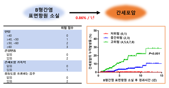 B형간염 표면항원 소실 후 간세포암 발생 예측 모델. 출처 카톨릭대학교 서울성모병원