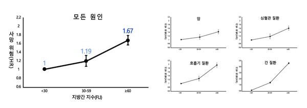 비알코올성 지방간 심할수록 사망위험 높다. 출처 서울대병원