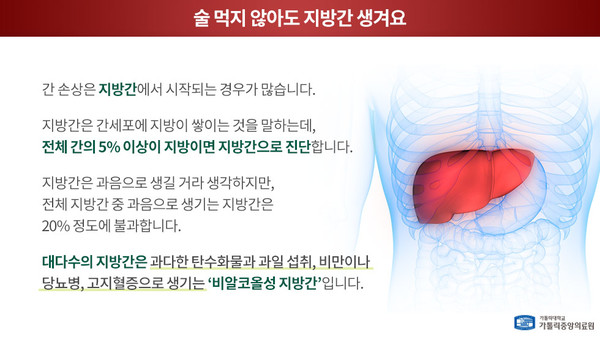 비알코올성 지방간. 출처 카톨릭중앙의료원