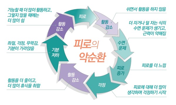 출처 암 생존자를 위한 스스로 하는 건강관리