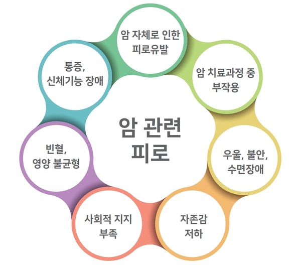 출처 암 생존자를 위한 스스로 하는 건강관리