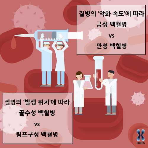 급성 골수성 백혈병의 증상. .출처 대한민국 공식 전자정부 누리집