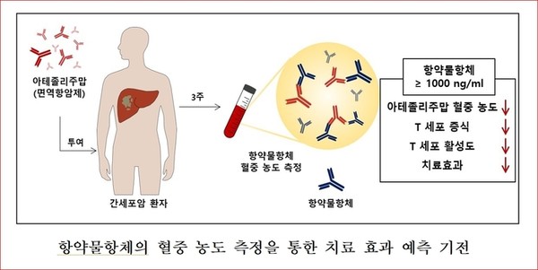 출처 한국연구재단