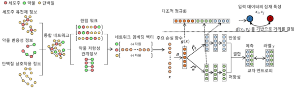 환자 맞춤형 항암제 반응성 예측 모델 구축의 작업 흐름도. 출처 UNIST