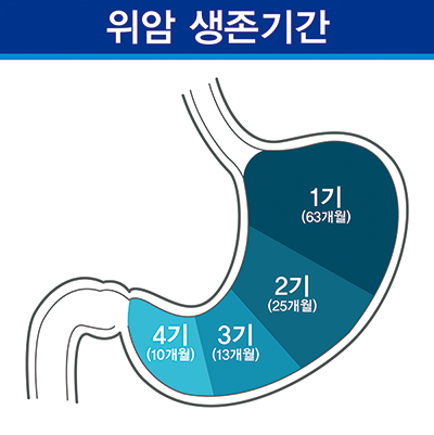 출처 서울대병원