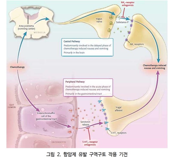 출처 약학정보원