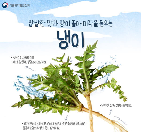 출처 식품의약품안전처