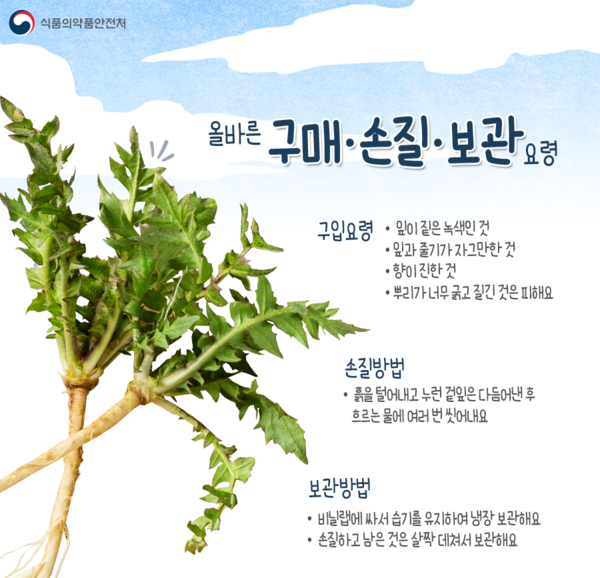 출처 식품의약품안전처
