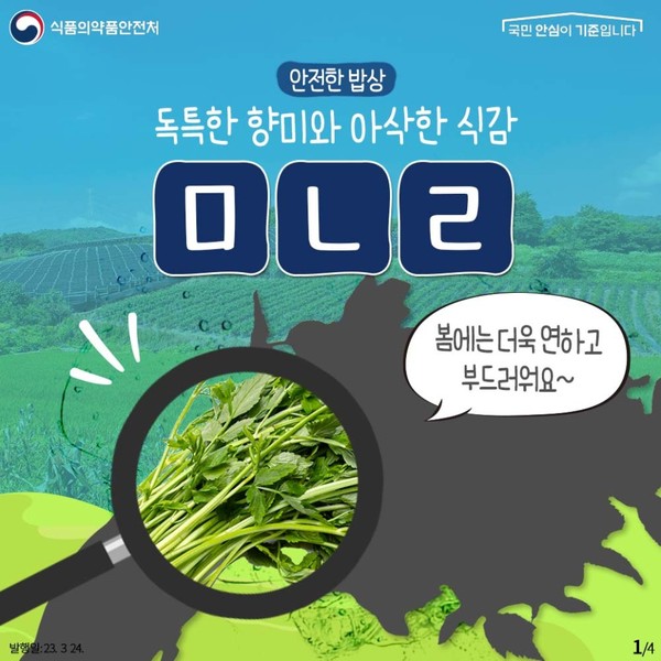 출처 식픔의약품안전처