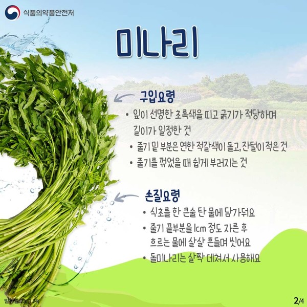 출처 식픔의약품안전처