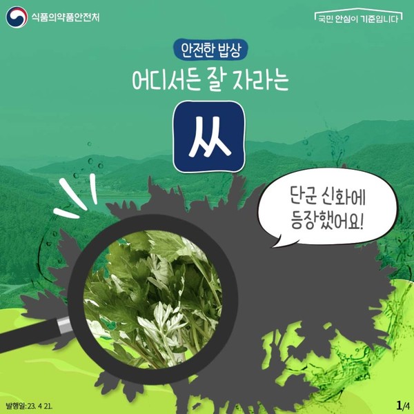 출처 식품의약품안전처