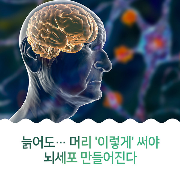 출처 이화의료원