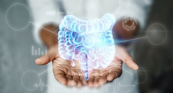 환자의 대다수는 단일 분변 미생물 이식에 매우 잘 반응한다. 출처 엠디앤더슨 암센터