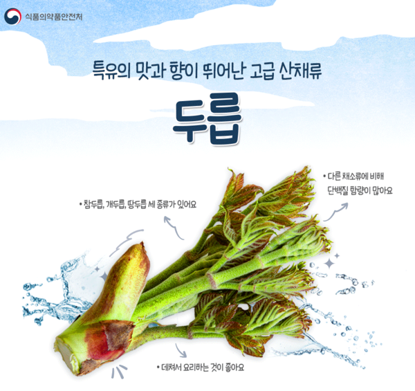출처 식품의약품안전처