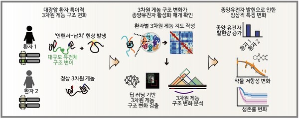 연구 모식도. 출처  KAIST