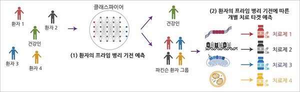 인공지능 기반의 파킨슨 하위 유형 예측 플랫폼: 데이터를 학습한 머신러닝 기반 클래시파이어 (Classifer)는 (1) 모집단을 파킨슨 그룹과 건강한 그룹으로 나누고, 파킨슨 그룹 환자 개개인을 기전적 하위 유형에 따라 추가적으로 분류해 (2) 파킨슨병 환자들의 고유한 질병 하위 유형에 맞는 기전 특이적 효능 약물들을 매칭시킴으로써 파킨슨병 치료 효과를 개선할 수 있음. 출처 KAIST
