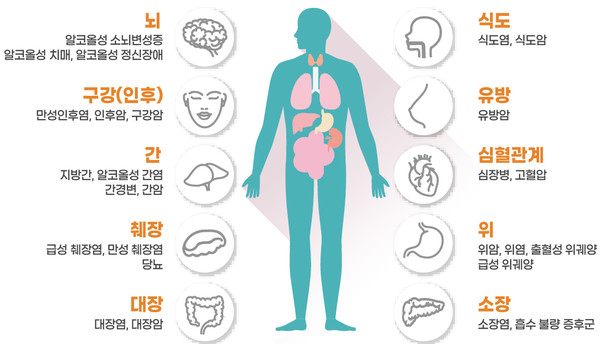 알코올이 신체에 미치는 영향 . 출처 국가암정보센터