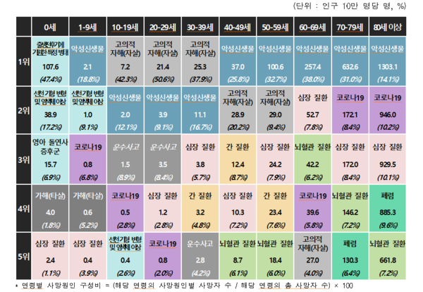연령별 5대 사망원인 사망률 및 구성비, 출처. 통계청