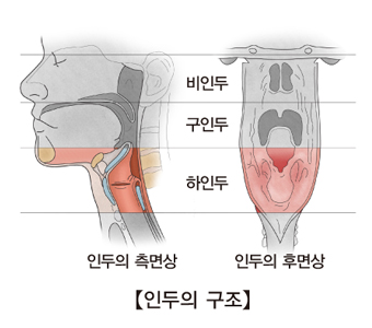 출처 서울아산병원