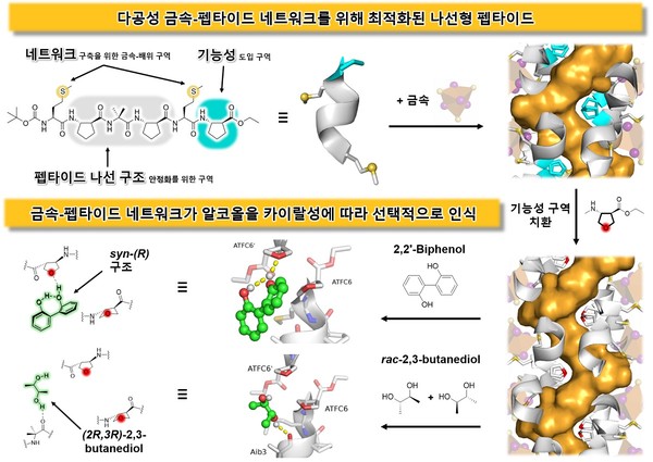 그림카이랄성 알코올 화합물을 선택적으로 인식하는 펩타이드 기반 기능성 소재 개발 모식도. 출처 KAIST