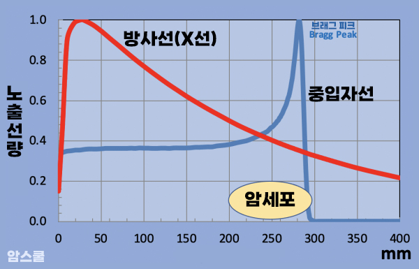 에너지가 낮다가 갑자기 높아지는 ‘브래그 피크(Bragg peak)’ 구간이 지나면 선량이 급격히 떨어져 암세포에는 큰 타격을 주지만 정상세포에는 영향이 없어 부작용 또한 현저히 줄어드는데 이것이 중입자치료의 큰 강점으로 꼽힌다. ⓒ 암스쿨 
