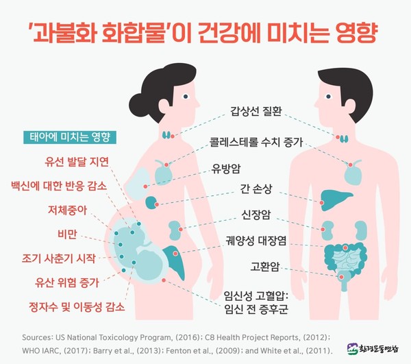 과불화화합물이 인체에 미치는 영향. 쉽게 분해되지 않아 오랫동안 축적되며 각종 질환을 일으킨다. 출처 환경운동연합