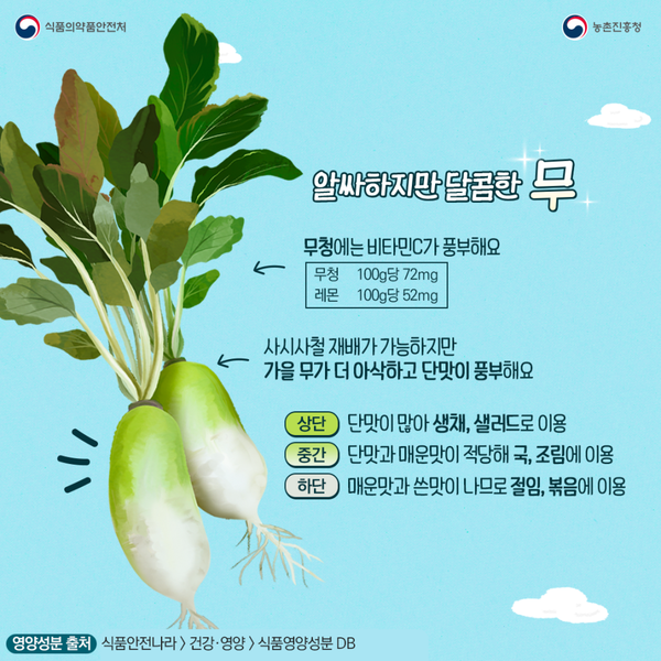 출처 식품의약품안전처