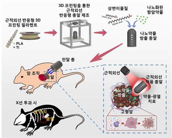 근적외선(NIR) 유발 약물-광열 치료를 위한 3D 프린팅 나노약물 방출 총알의 개요도. PLA/Ti 필라멘트를 사용해 3D프린팅한 총알 모양의 나노약물 전달 플랫폼에 상변화 물질과 항암 나노약물을 주입하여 나노약물 방출 총알을 제조하였다. 암 부위에 근적외선을 조사하여 나노약물 전달 플랫폼에서 나노약물을 방출을 유발한다. 출처 한국연구재단