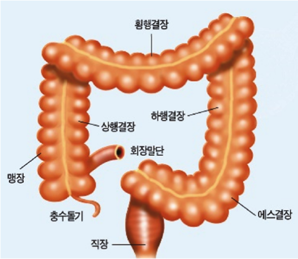 출처 서울대학교 암연구소