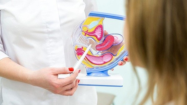 암 치료에서 골반 기저 물리치료에 관한 5가지 궁금한 점. 출처 : 엠디앤더슨 암센터 