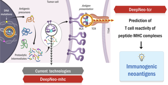 mRNA 암백신 핵심기술. 출처 카이스트