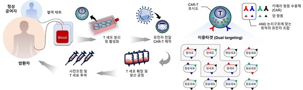 CAR-T 세포치료제의 제작 및 투여 과정과 CAR를 이용한 암세포 특이적 이중타겟 모식도. 출처 카이스트