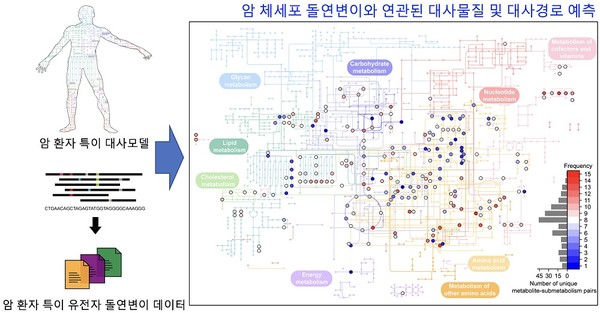암 체세포 돌연변이와 연관된 대사물질 및 대사경로를 예측하는 컴퓨터 방법론 모식도. 출처 KAIST