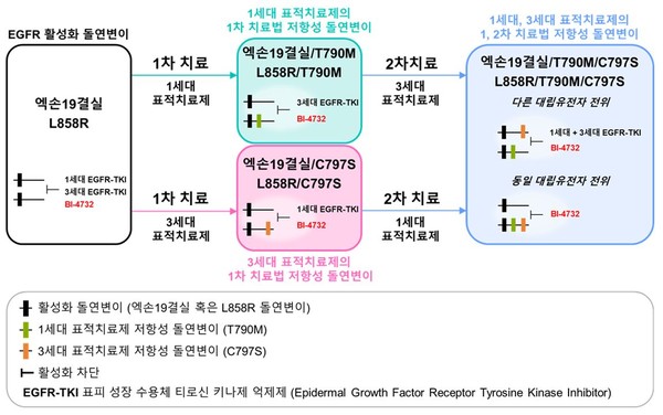 BI-4732는 1~3차 요법에 거친 모든 단계에서 치료 효과를 확인할 수 있었다. 출처 연세암병원