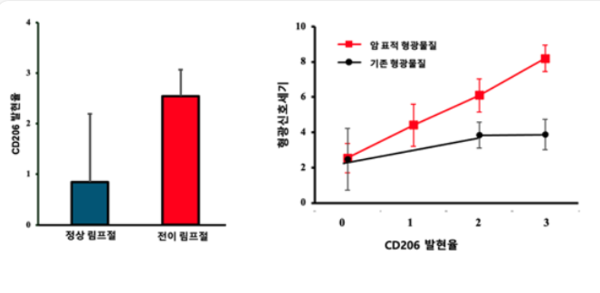 정상/전이림프절의 CD206발현과 이에 따른 암표적/기존 형광물질의 신호세기 연구결과. 출처 고대구로병원