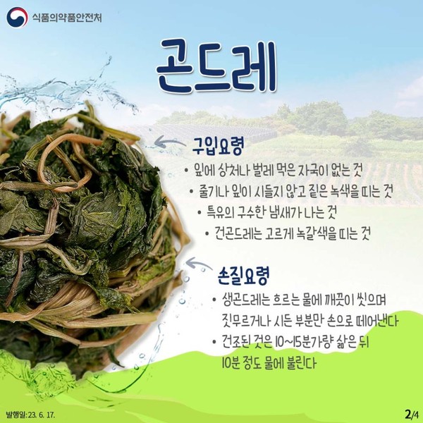 출처 식품의약품안전처